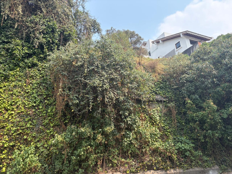 Terreno En Venta En Bosque De Las Lomas