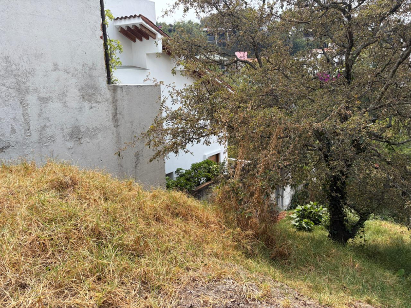 Terreno En Venta En Bosque De Las Lomas