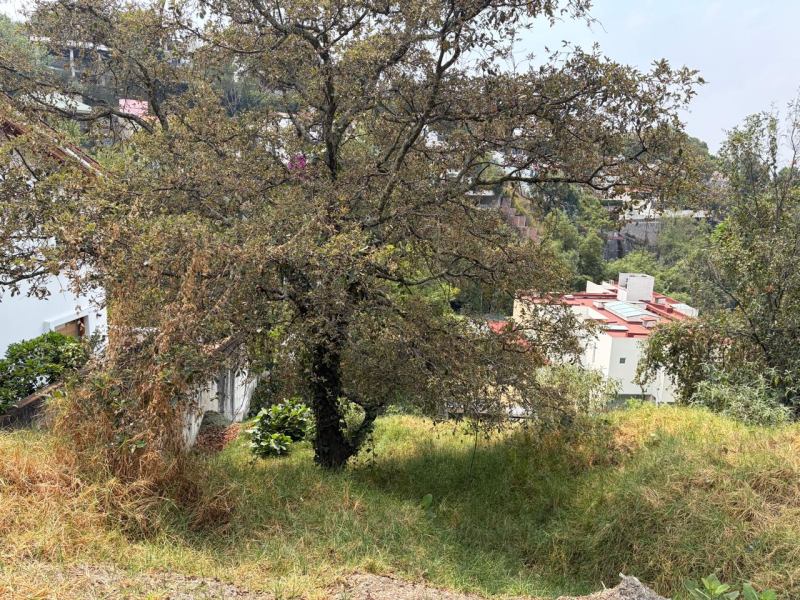 Terreno En Venta En Bosque De Las Lomas