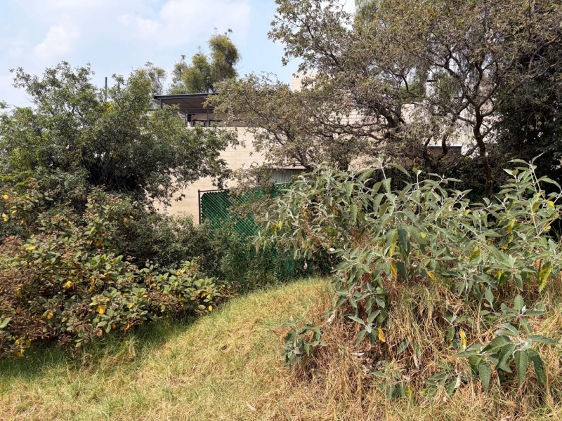 Terreno En Venta En Bosque De Las Lomas