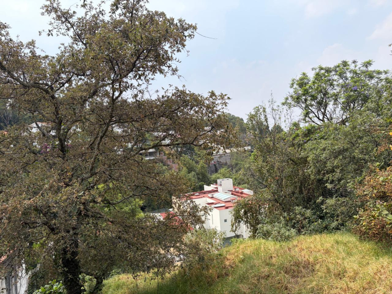 Terreno En Venta En Bosque De Las Lomas