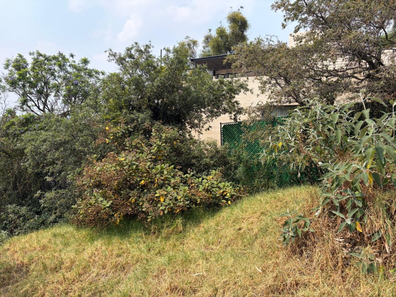 Terreno En Venta En Bosque De Las Lomas
