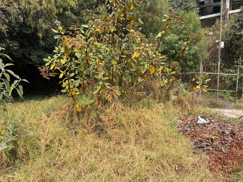 Terreno En Venta En Bosque De Las Lomas