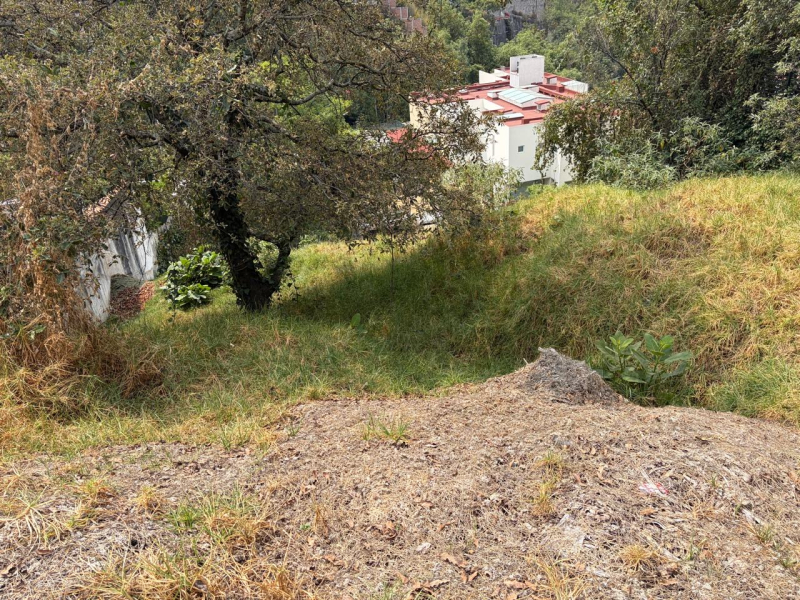 Terreno En Venta En Bosque De Las Lomas