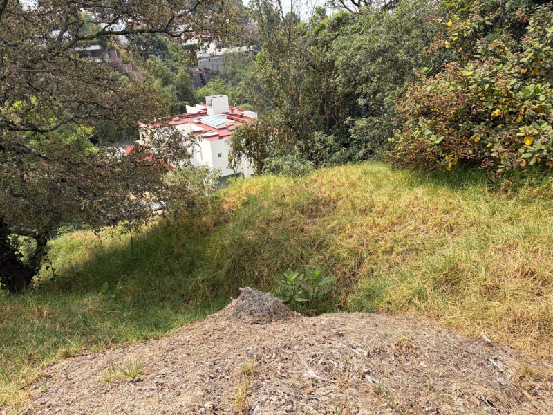 Terreno En Venta En Bosque De Las Lomas