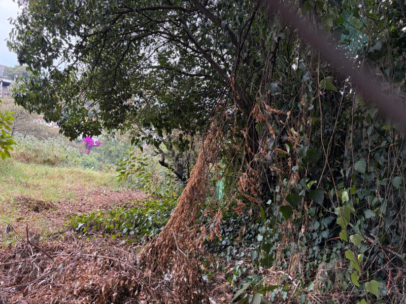 terreno en venta en bosque de las lomas
