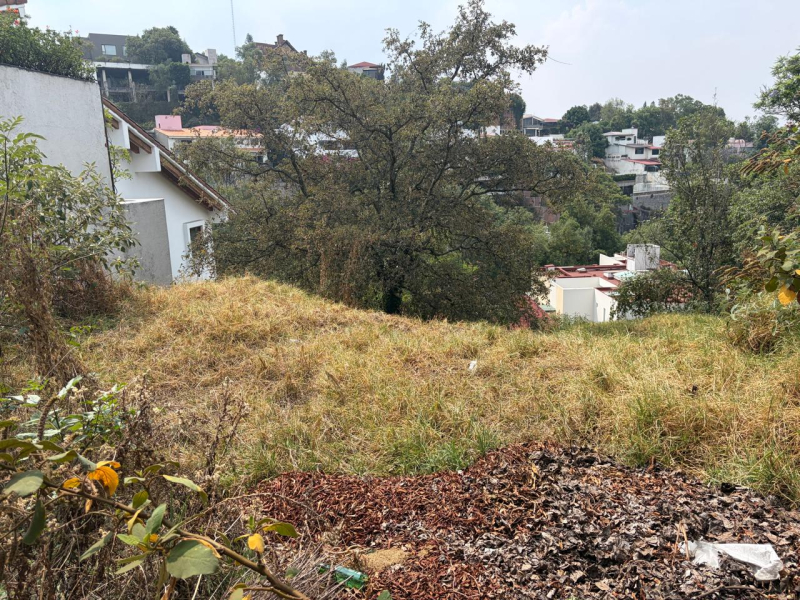Terreno En Venta En Bosque De Las Lomas
