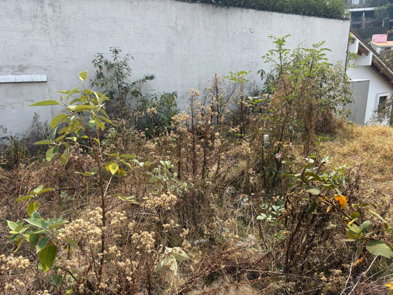 Terreno En Venta En Bosque De Las Lomas
