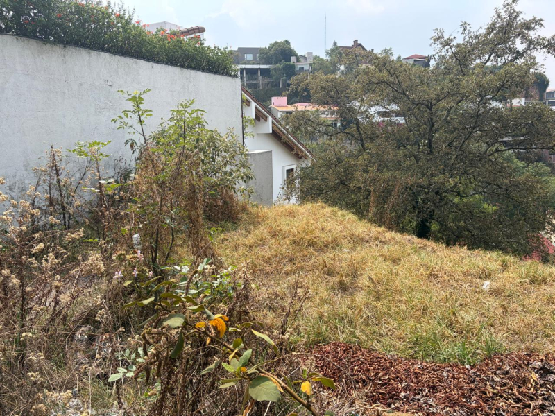 Terreno En Venta En Bosque De Las Lomas
