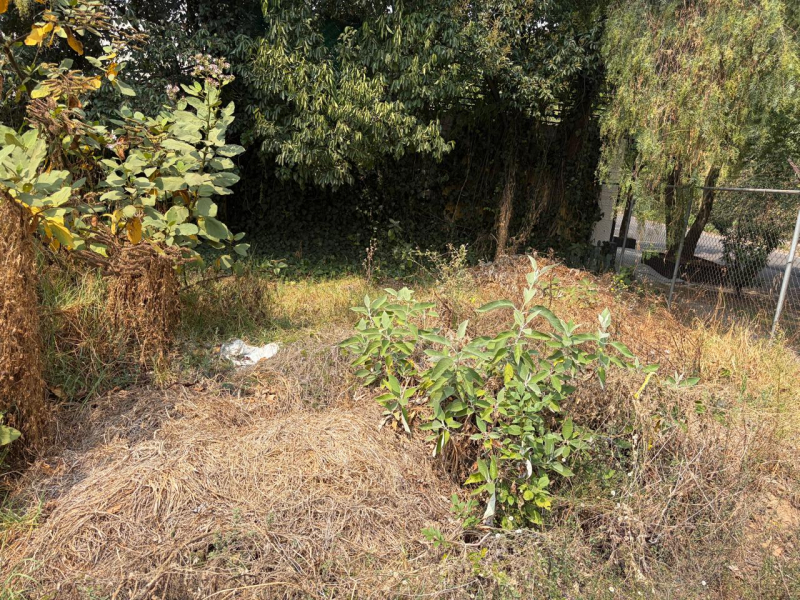 Terreno En Venta En Bosque De Las Lomas