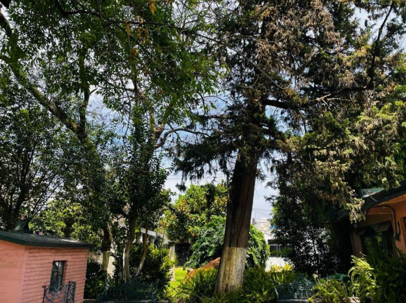 terreno en venta en coyoacán