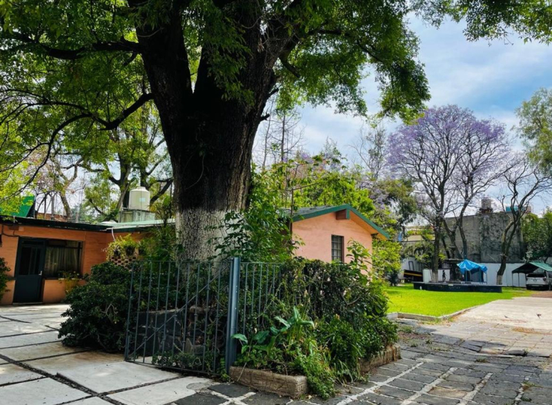 terreno en venta en coyoacán