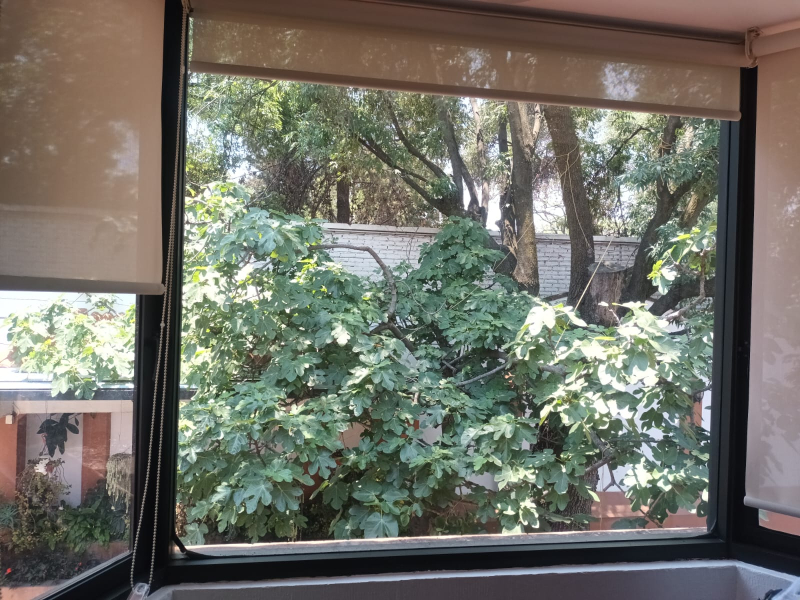 casa en condominio en renta en toriello guerra