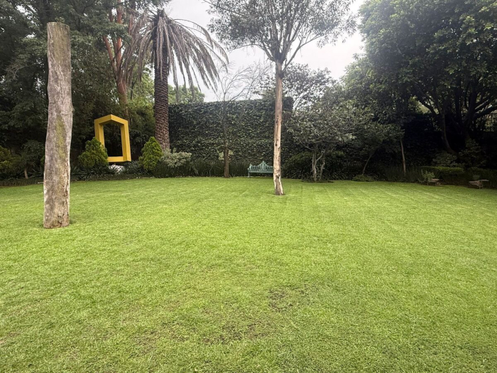 casa venta en lomas hipodromo