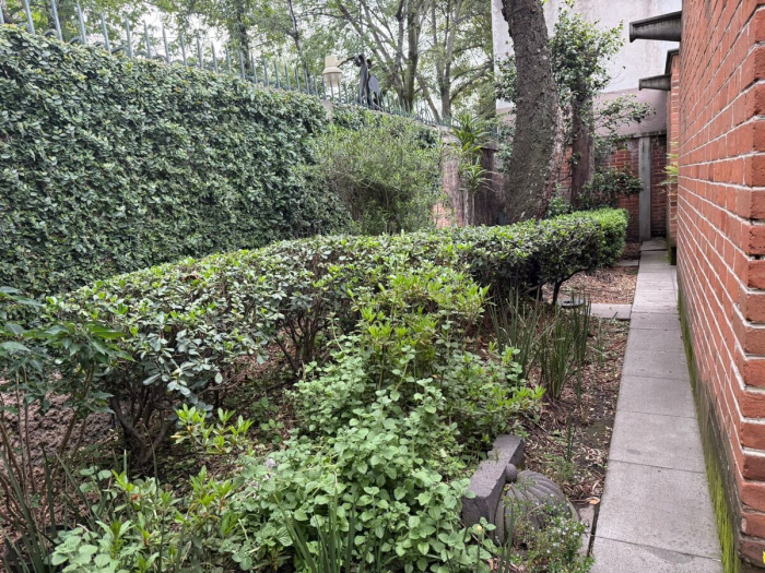 casa venta en lomas hipodromo