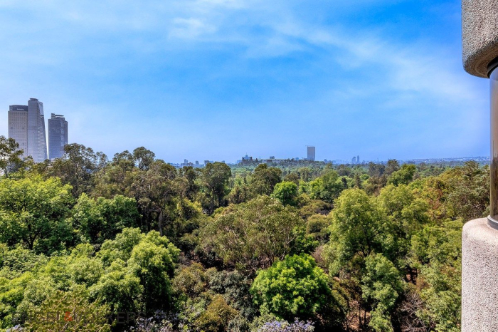 Departamento Exclusivo En Venta, Con Vista Al Bosque, Rubén Darío.