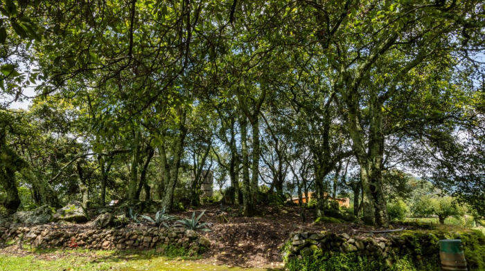 casa en venta en malinalco a estrenar
