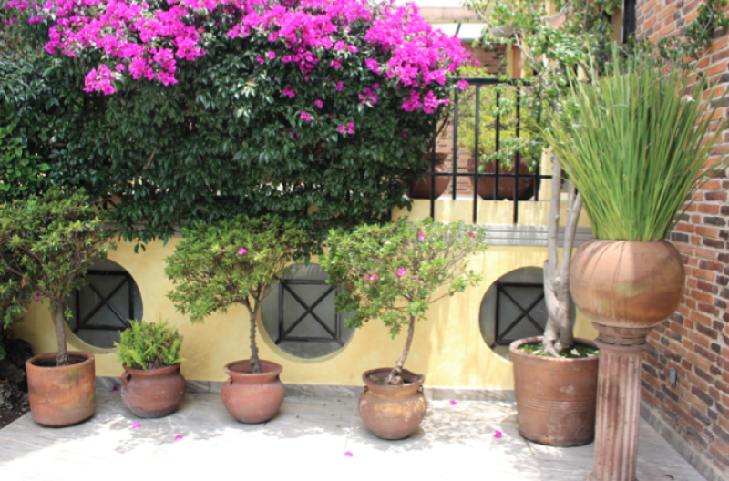 casa en venta en bosques de las lomas
