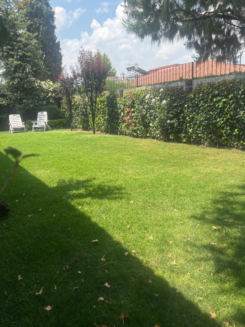 casa en renta los robles 