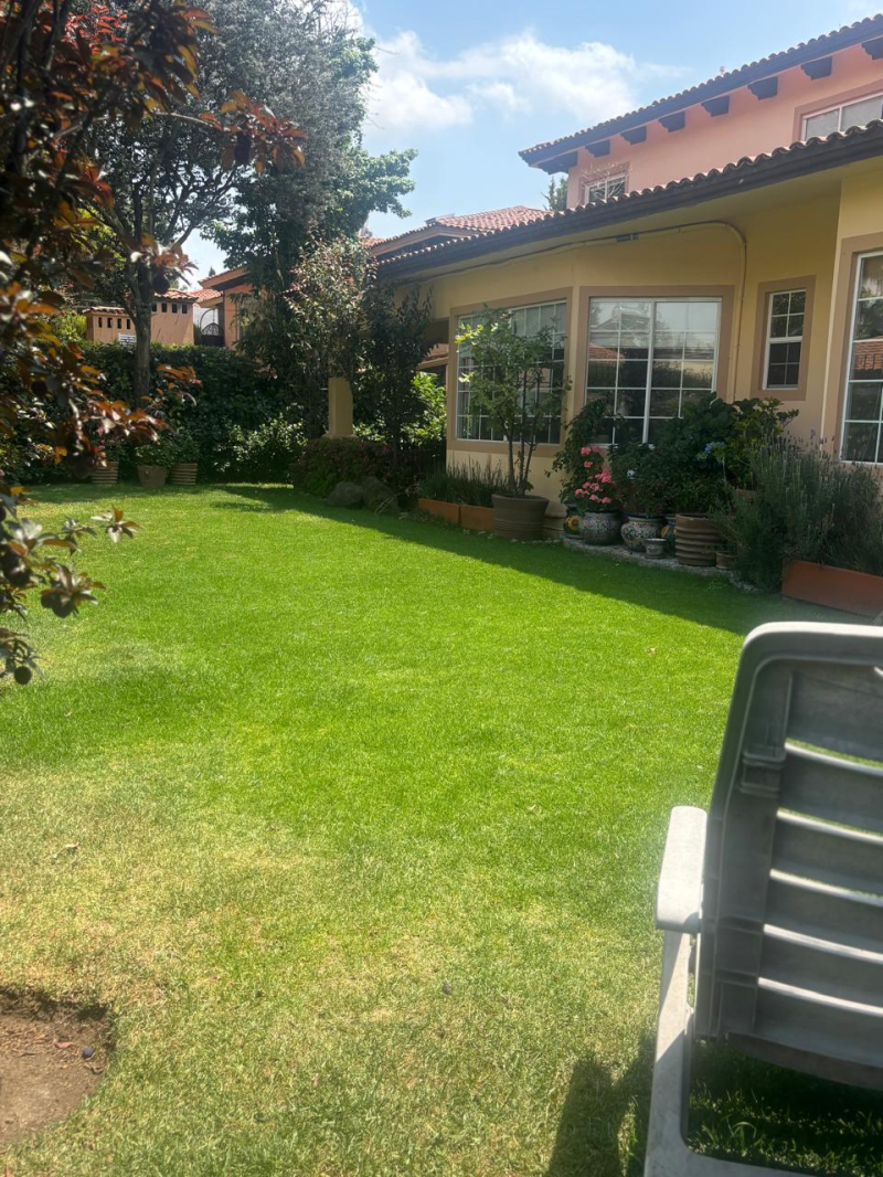 casa en renta los robles 