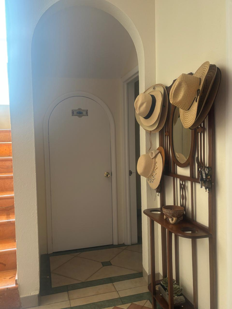 casa en renta los robles 