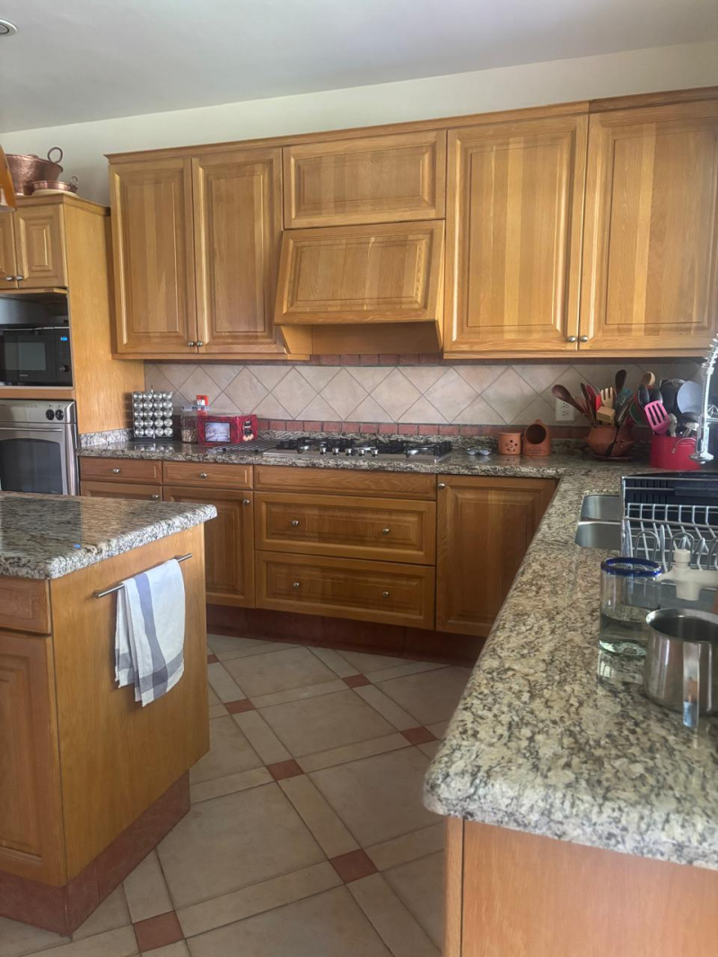 casa en renta los robles 