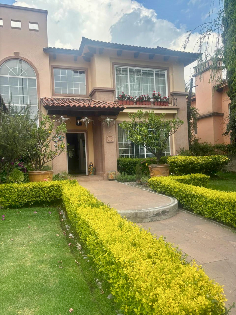 casa en renta los robles 