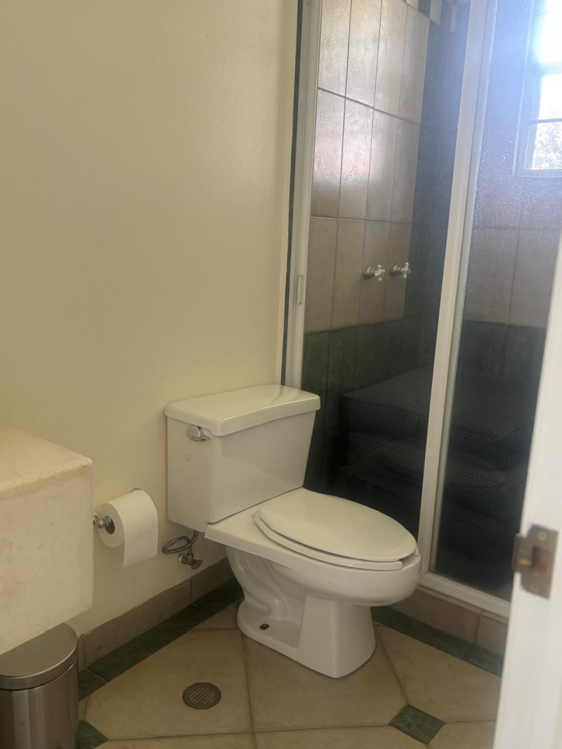 casa en renta los robles 