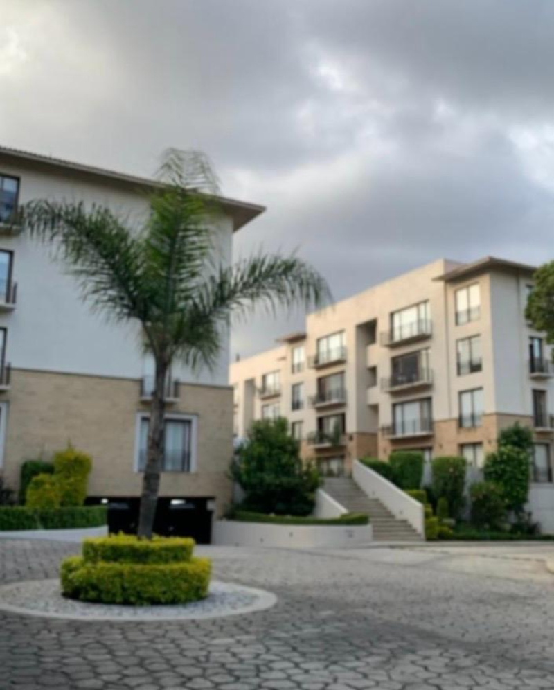 departamento en renta en olivar de los padres