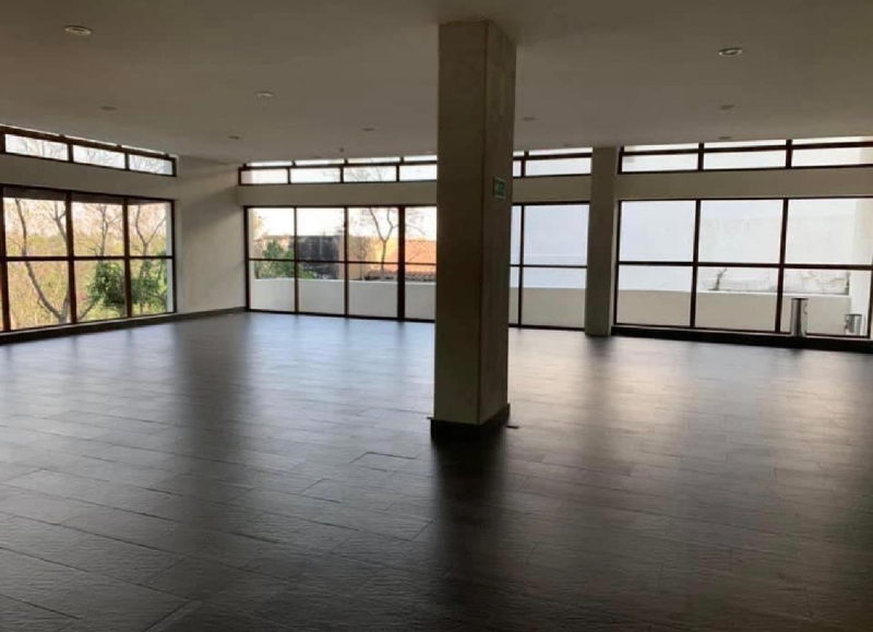 departamento en renta en olivar de los padres