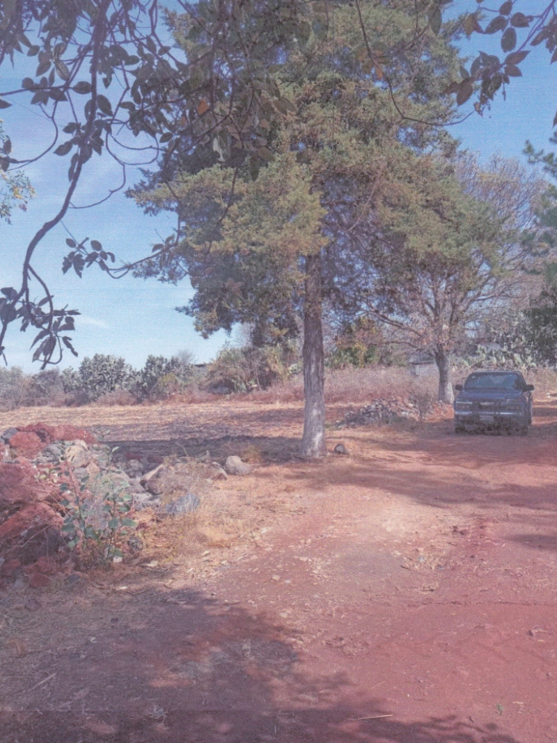 terreno en venta en xochitlán de las flores 