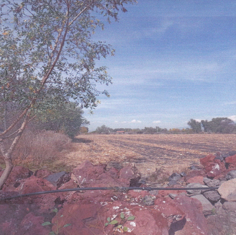 terreno en venta en xochitlán de las flores 