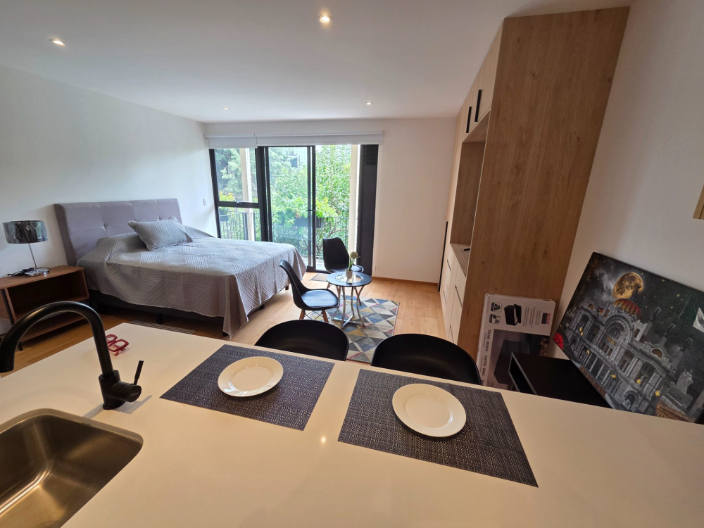 Departamento Amueblado Renta En San Rafael