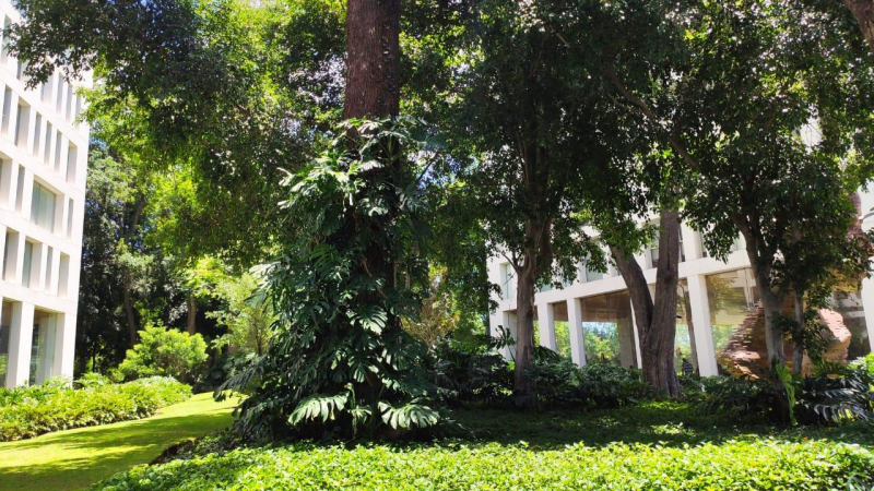 Departamento en Venta en Fraccionamiento Vallarta San Jorge