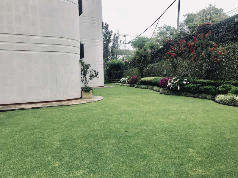 Departamento en Renta en Lomas de Chapultepec