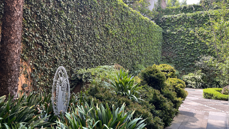 casa amoblada en renta lomas de chapultepec