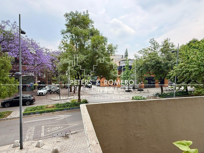 departamento en venta en polanco