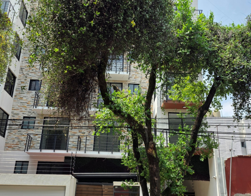 departamento en renta en doctores