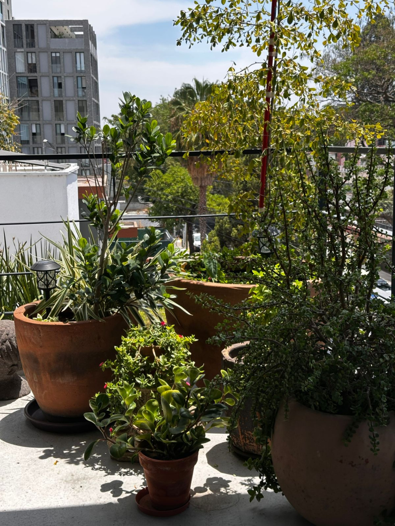 departamento en venta en americana