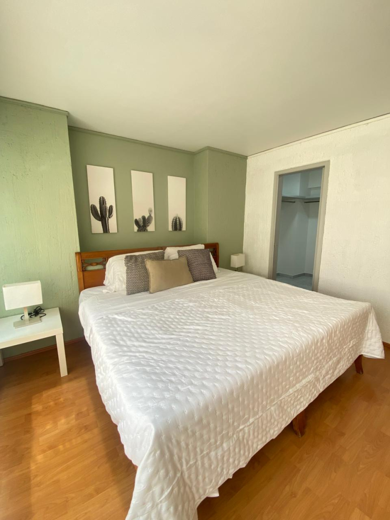 departamento en renta en polanco