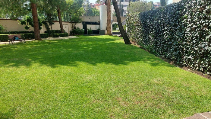 VENTA DEPARTAMENTO LOMAS DE CHAPULTEPEC