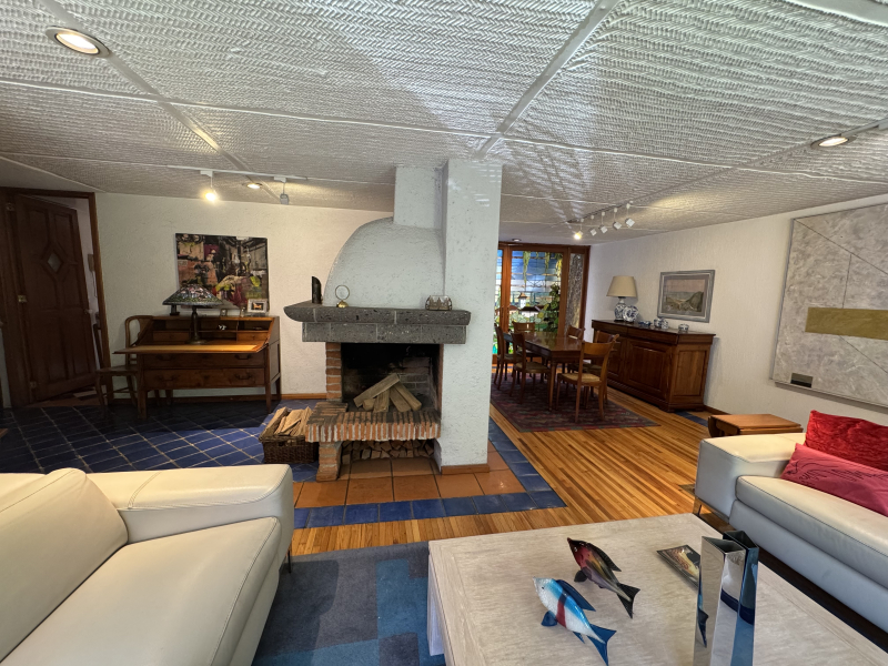 ENCANTADORA CASA EN VENTA CON JARDIN Y ROOFTOP TERRACE - VILLA COYOACAN
