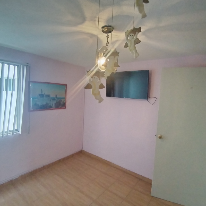 Departamento En Venta En Anáhuac I Sección