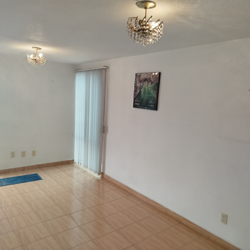 Departamento En Venta En Anáhuac I Sección