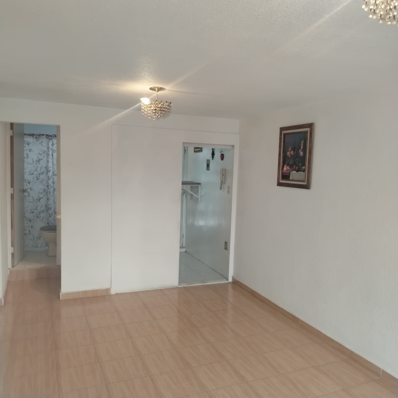 Departamento En Venta En Anáhuac I Sección