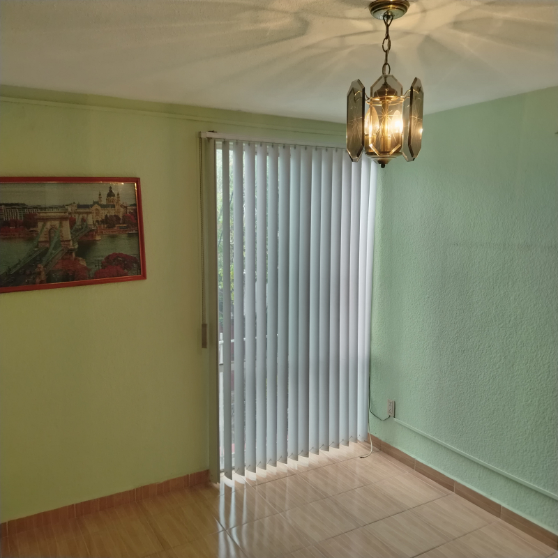 Departamento En Venta En Anáhuac I Sección