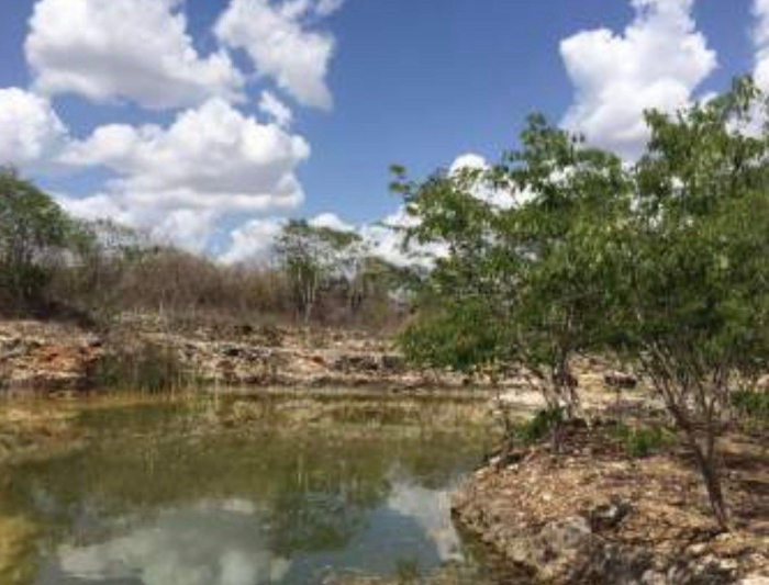 terreno en venta en puerta mayab