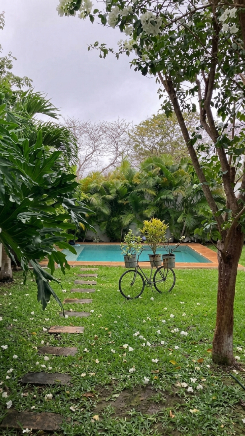 Casa En Venta O Renta En Cholul 