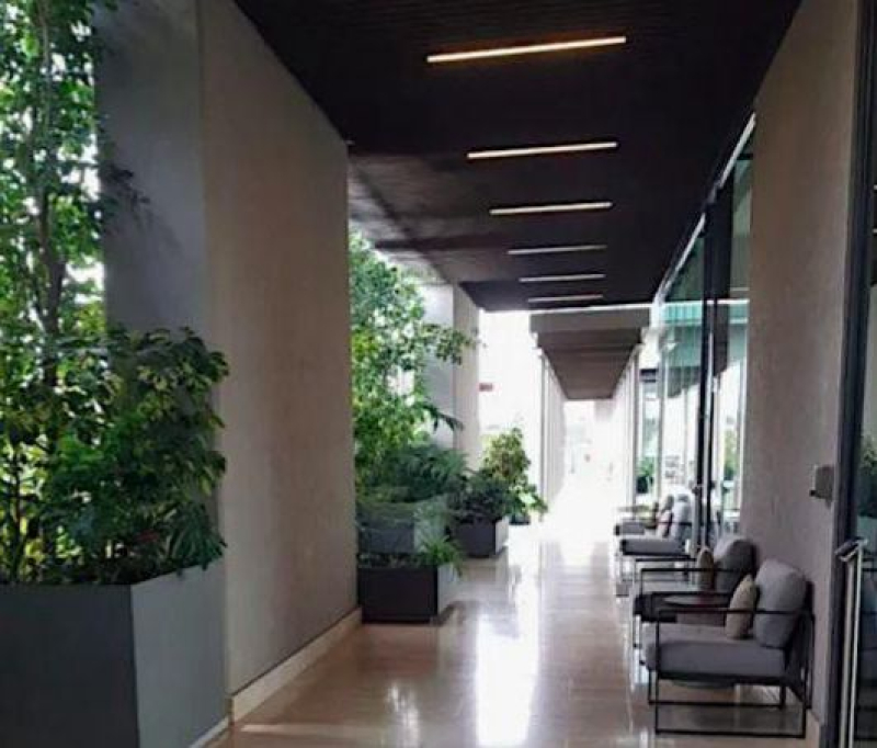 Departamento En Venta En Be Grand Alto Pedregal. CDMX 