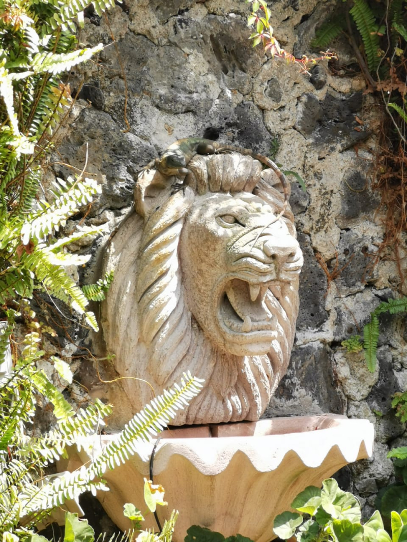 casa en venta en lomas de atzingo